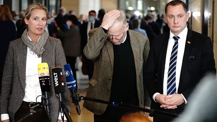 Die AfD-Führungsriege wirft zwei ihrer Abgeordneten fraktionsschädigendes Verhalten vor.
