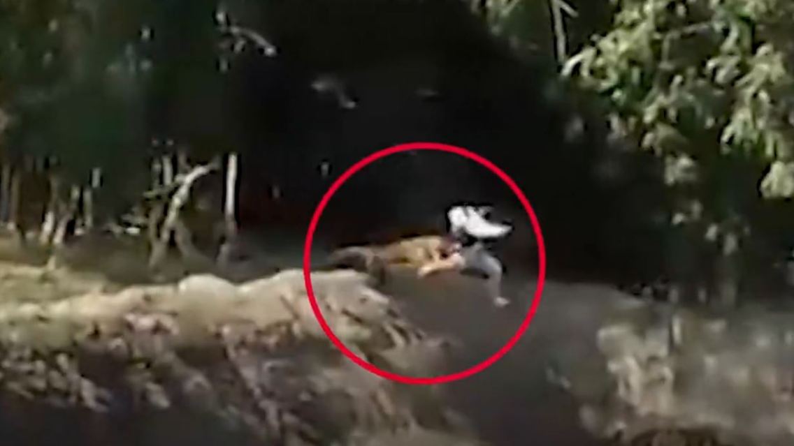 Tiger.JPG