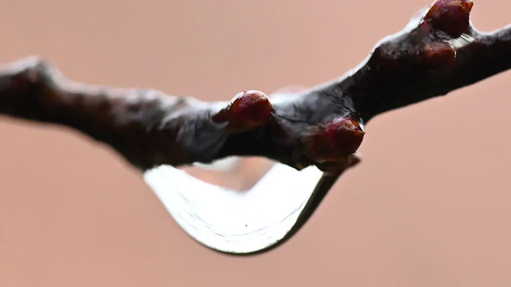 Die-naechsten-Tage-muessen-sich-die-Menschen-in-Rheinland-Pfalz-und-im-Saarland-auf-Regen-und-Wolken-einstellen-Es-wird-nass-und-ungemuetlich