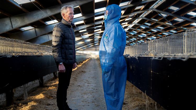 Der Züchter und die dänische Regierungschefin laufen durch die leere Farm - alle Tiere wurden getötet.
