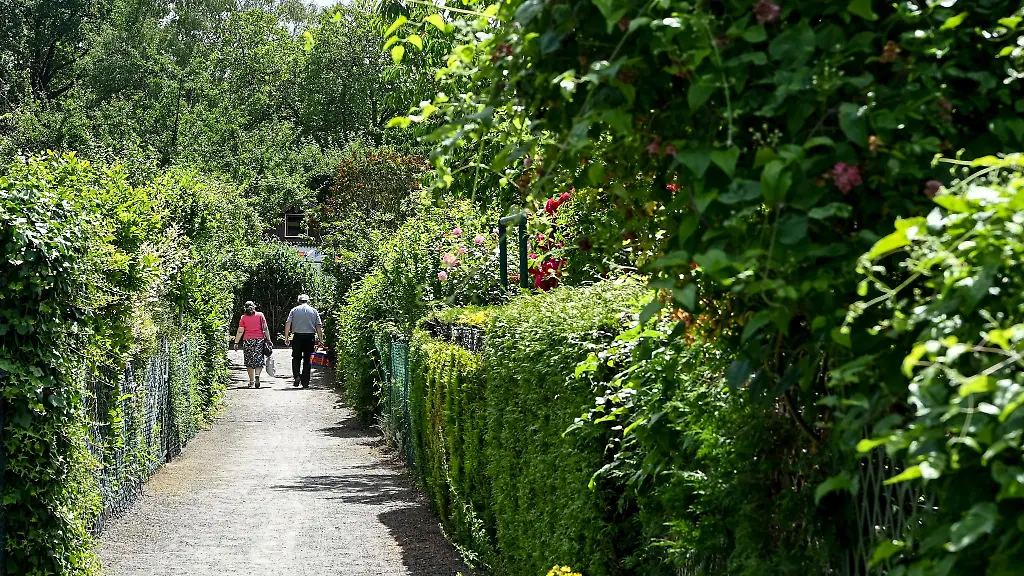 Beim-Paechterwechsel-werden-mitunter-sehr-hohe-Abloesesummen-verlangt