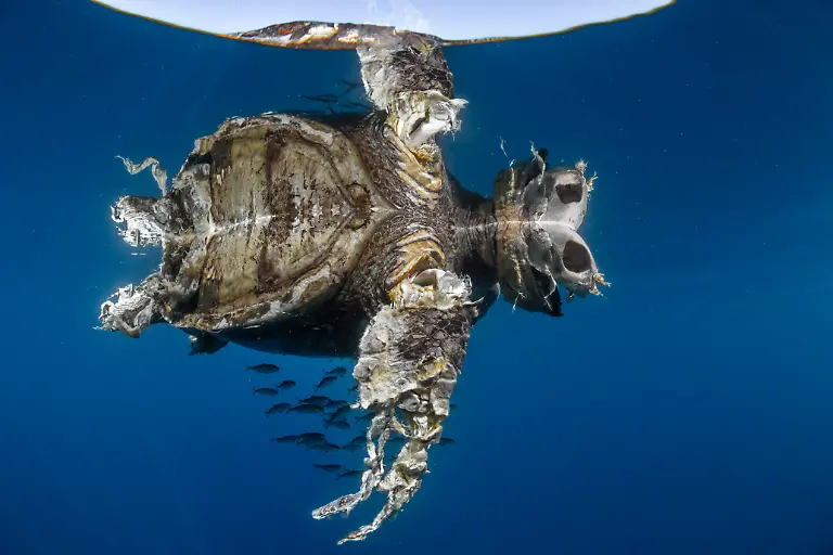 NICHT-IN-ANDEREM-ZUSAMMENHANG-VERWENDEN-9902HenleySpiers