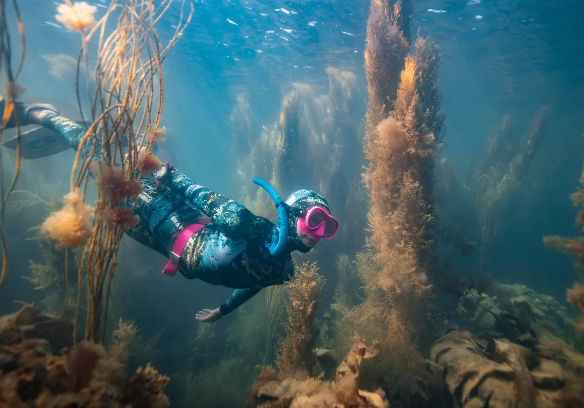 NICHT-IN-ANDEREM-ZUSAMMENHANG-VERWENDEN-1202GuyTrees