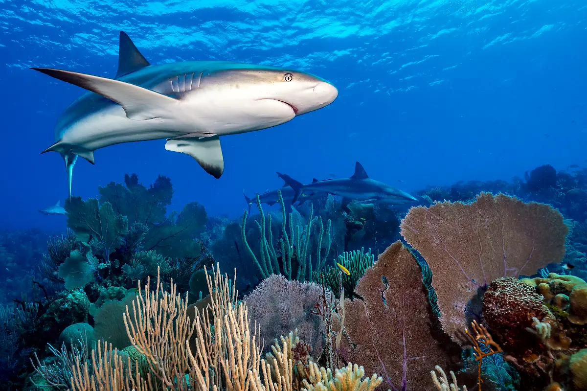 NICHT-IN-ANDEREM-ZUSAMMENHANG-VERWENDEN-602Jenny-Stock