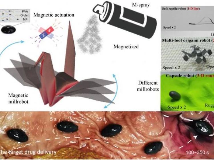 Im Tierversuch zeigte sich: Mit dem Magnetspray bewegte Kapseln können beispielsweise Medikamente an bestimmte Stellen im Körper bringen.