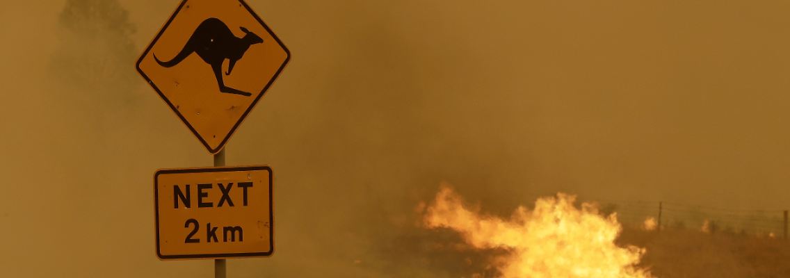 Bei den verheerenden Buschbränden von August 2019 bis März 2020 kamen mehr als 30 Menschen und unzählige Tiere ums Leben.