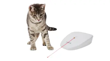 Tierische Deals im Check: Miau! Aldi verkauft vollautomatische  Katzenspielzeuge