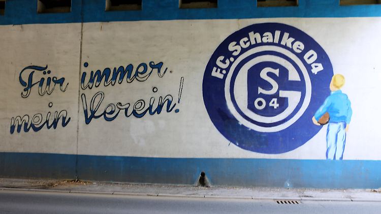 Selten war das Leben als Fan des FC Schalke 04 so hart.