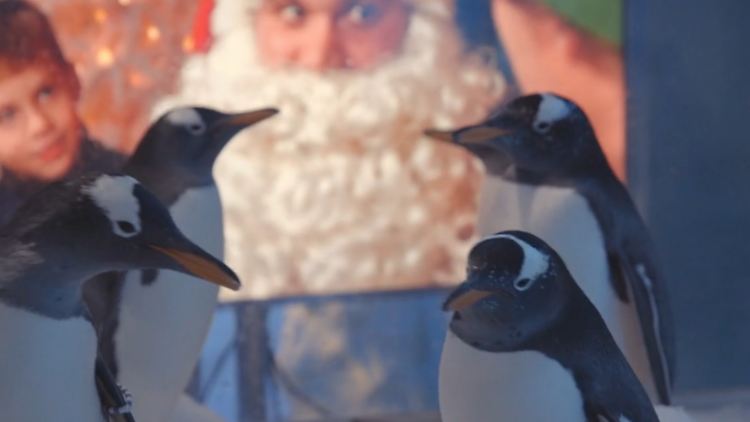 Screen Shot 2020-12-02 at 12.58.36 PM.png