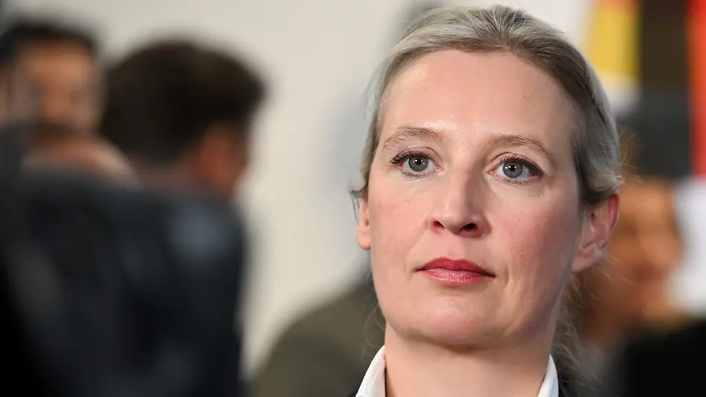 35aa01a0e8a2ddbc0e5452556c96df47