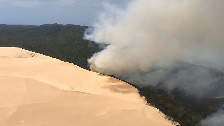 Den Regenwald auf der Sandinsel hat das Feuer noch nicht erreicht.