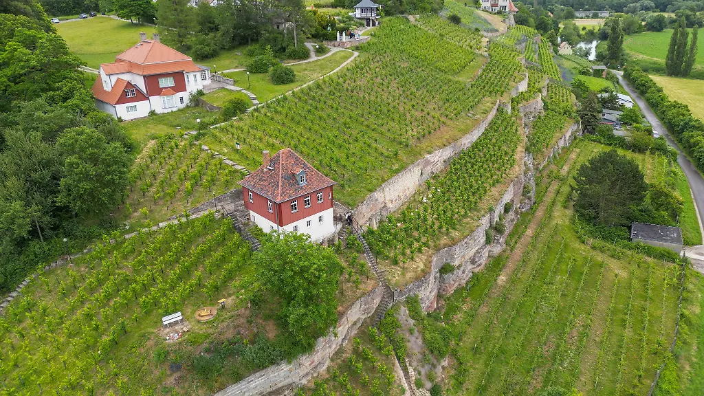 In-der-Winzervereinigung-Freyburg-Unstrut-sind-322-Winzer-mit-einer-Rebflaeche-von-389-Hektar-organisiert