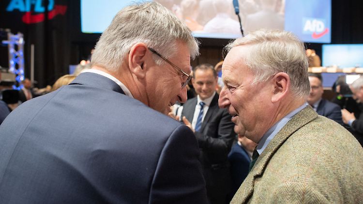Rechts: AfD-Bundessprecher Meuthen, ganz rechts: Ehrenvorsitzender Gauland. 