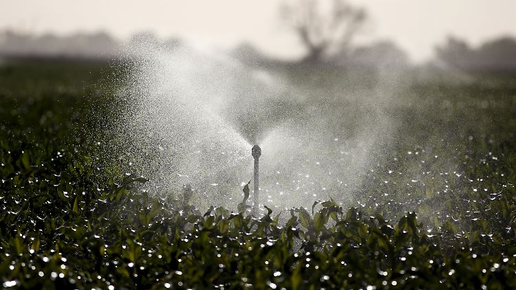 Hunderte Millionen Dollar zahlen Kaliforniens Landwirte jährlich für das dringend benötigte Wasser.