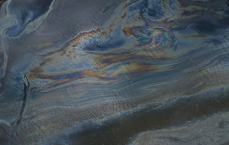 NICHT-IN-ANDEREM-ZUSAMMENHANG-VERWENDEN-03-ConservationPhotography-SpecialMention-Sathiyaseelan-Subramanian