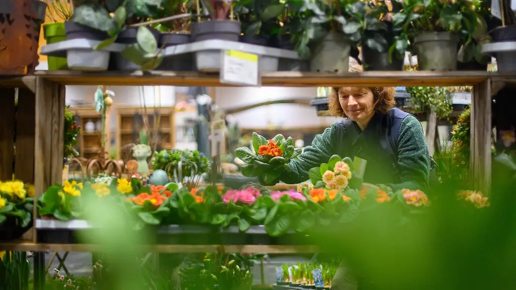 Zum-Start-in-die-neue-Gartensaison-werden-auf-der-Gartentraeume-Messe-in-Magdeburg-bis-23-Februar-mehr-als-hundert-Aussteller-erwartet