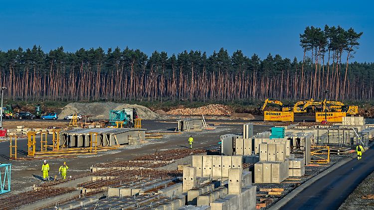 Rund eine halbe Million Wagen sollen künftig pro Jahr in Grünheide vom Band laufen.
