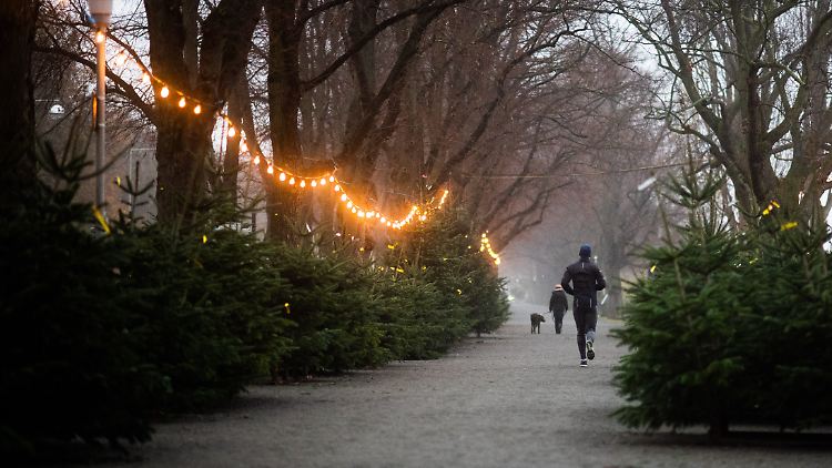 Nächste Woche könnte der Westen noch einmal auf 12 Grad klettern, im Osten und Süden bleibt es dagegen grau und winterlich.