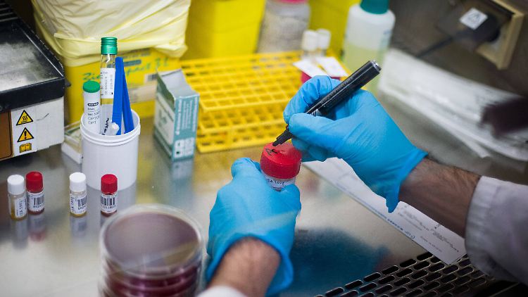 Seit September testet Sanofi seinen Impfstoff.