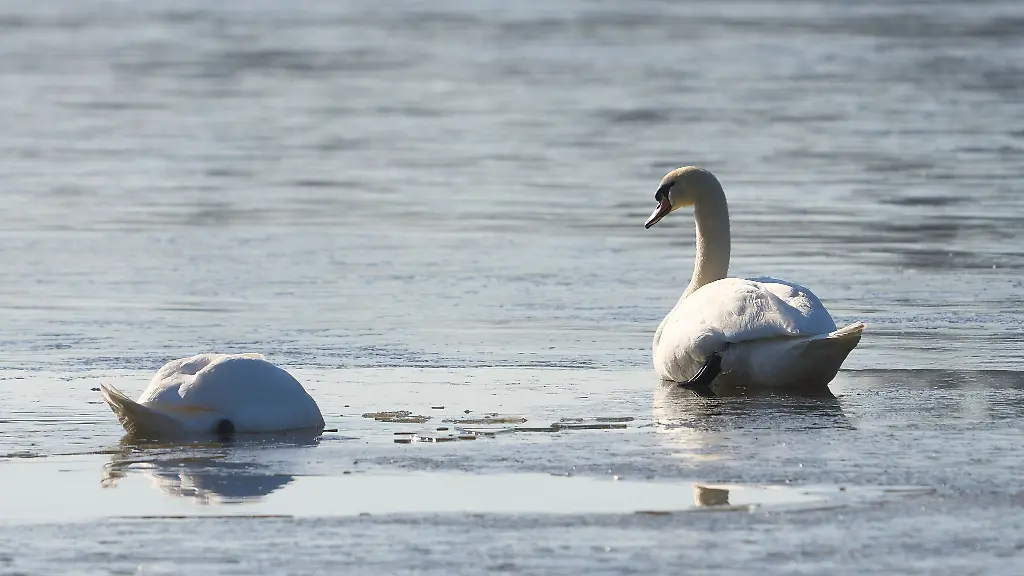 Ungewoehnlich-mild-soll-es-in-den-naechsten-Tagen-in-Rheinland-Pfalz-und-im-Saarland-werden