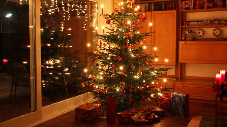 Selbst der schönste Tannenbaum muss irgendwann entsorgt werden.