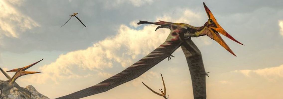 Flugsaurier.jpg