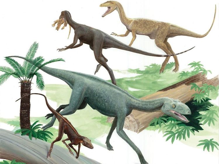Dromomeron (vorn) und verwandte Dinosaurier (Computergrafik basierend auf Fossilienfunden von der Ghost Ranch, New Mexico).