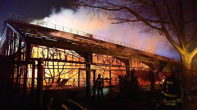 In der Silvesternacht brannte das Affenhaus des Krefelder Zoos nieder.