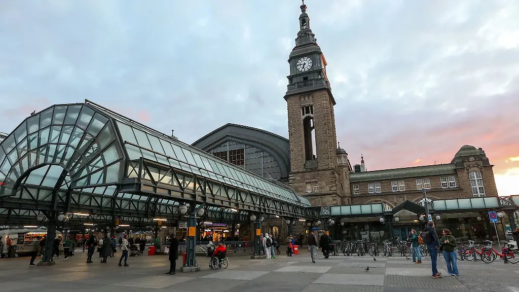 Die-gestuerzte-Frau-lag-im-Hamburger-Hauptbahnhof-regungslos-auf-dem-Gleis