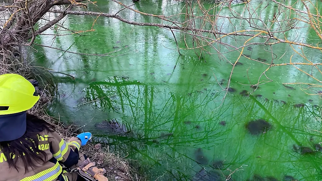 Nachdem-der-Muehlbach-bei-Woerrstadt-gruen-verfaerbt-war-hat-das-Wasser-nun-wieder-eine-normale-Farbe