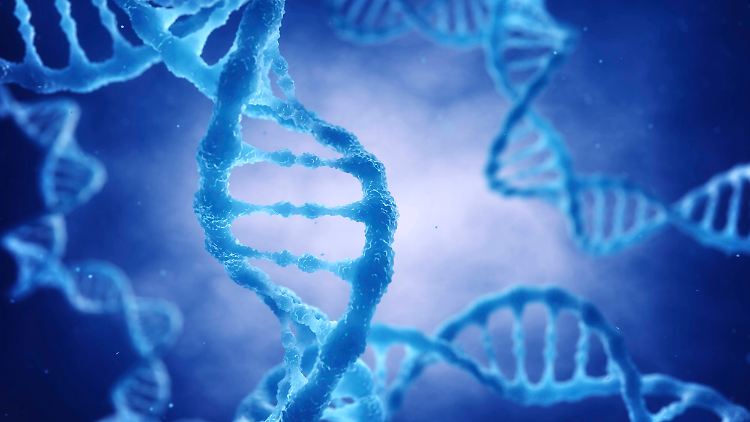 Denkbar wäre, dass bestimmte Gene den Verlauf von Covid-19 maßgeblich beeinflussen.
