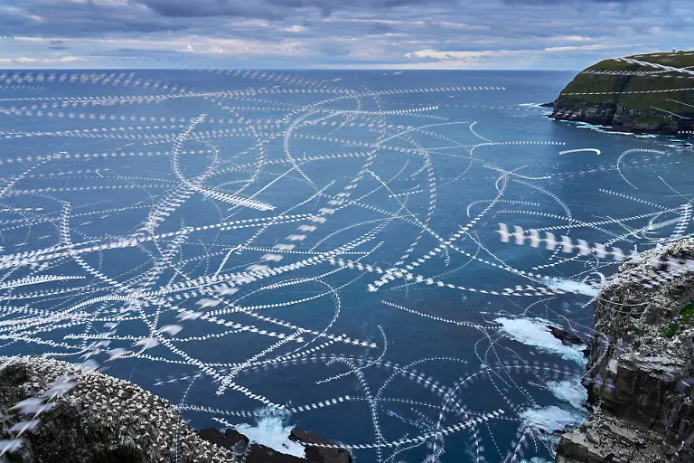 NICHT-IN-ANDEREM-ZUSAMMENHANG-VERWENDEN-03-CreativeNature-SpecialMention-Rajan-Desai