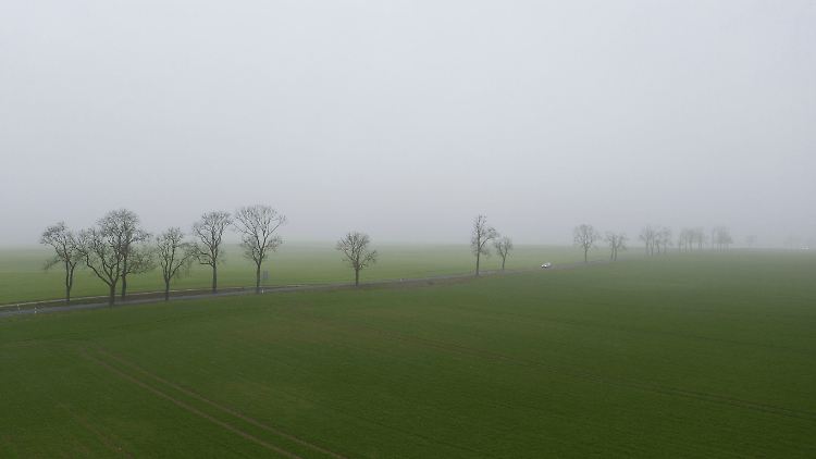 Land- und Forstwirtschaft nehmen 80 Prozent der Flächen in Deutschland ein - hier müsse man ansetzen, fordert das BfN.