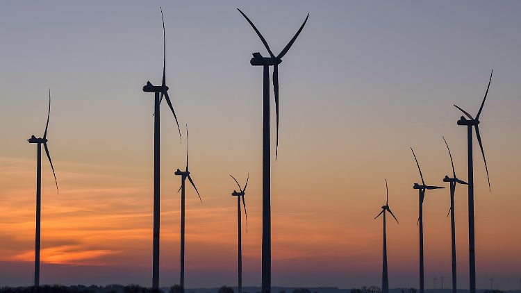 17 Prozent steuern die Erneuerbaren zum Energiehaushalt bei.