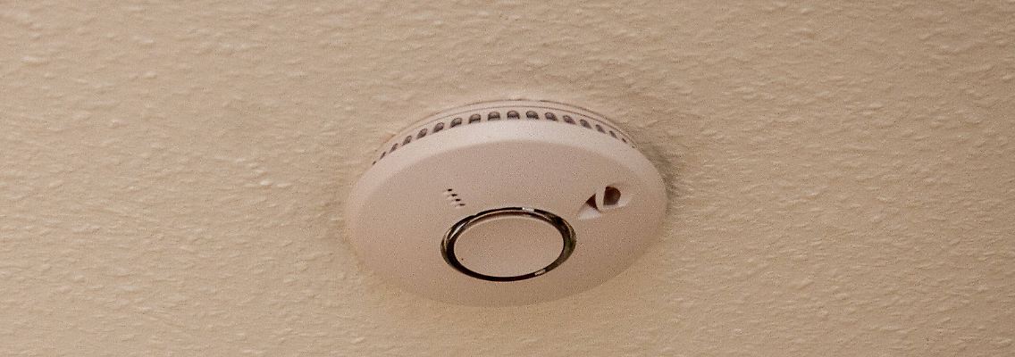imago0107837890h.jpg