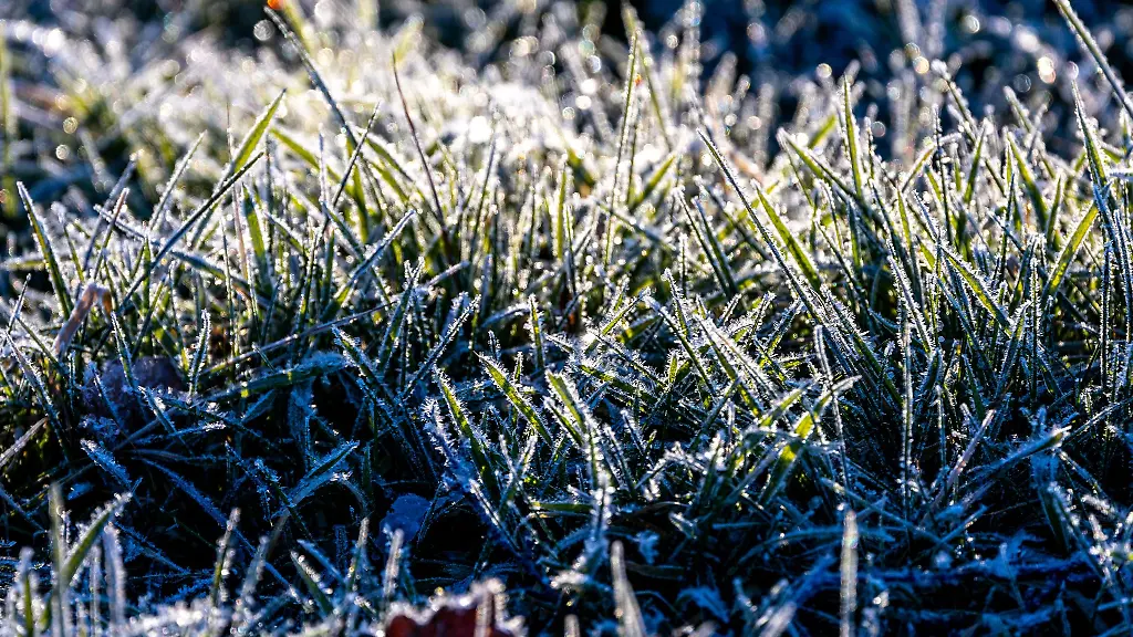 Quecksilbersaeule-sank-in-Bad-Berka-in-der-Nacht-auf-minus-14-4-Grad
