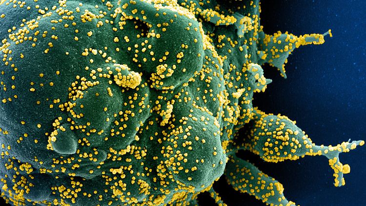 In Südafrika haben sich bislang fast 900.000 Menschen mit dem Coronavirus angesteckt.