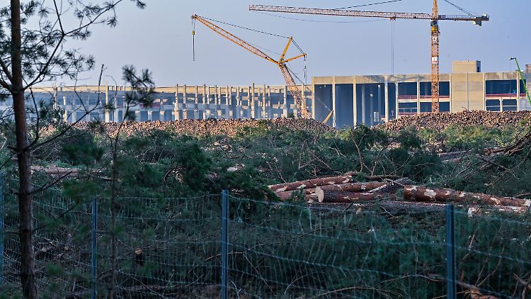 Die Rodungsarbeiten in Grünheide wurden vor etwa einer Woche gestoppt.