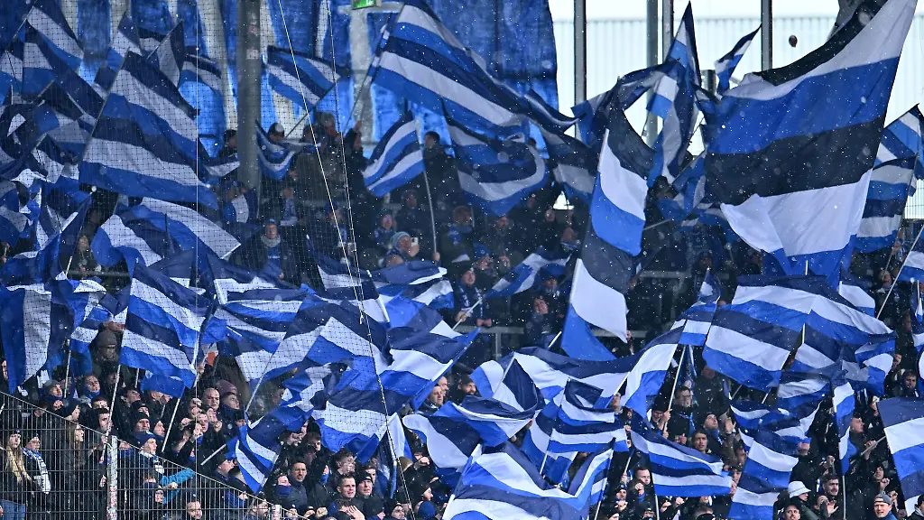 Darmstadt-98-wirbt-vor-der-Bundestagswahl-um-Demokratie