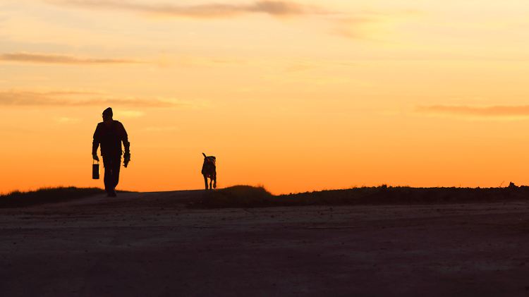 Spaziergang mit Hund in der untergehenden Sonne - weiterhin möglich.