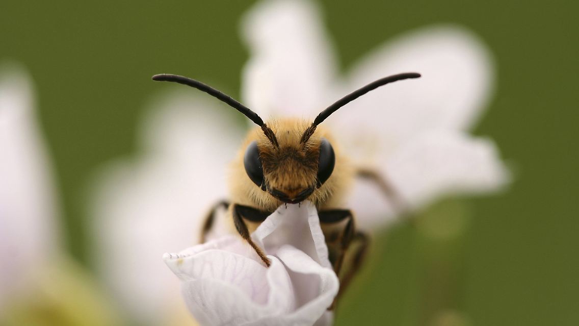 imago0069836094h.jpg