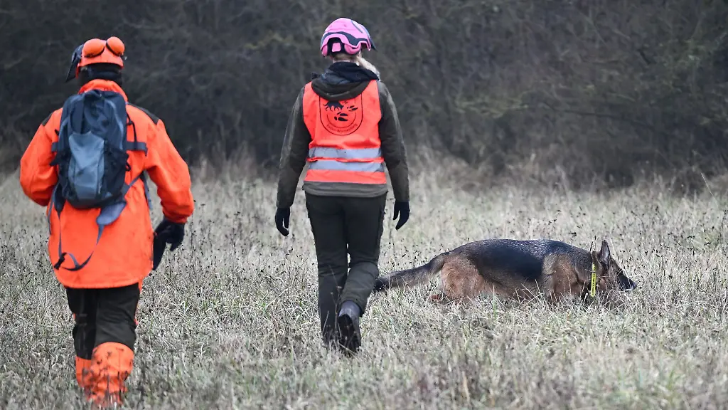 Ein-Suchtrupp-will-tote-Wildschweine-aufspueren