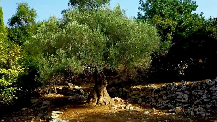 Bildschirmfoto 2020-12-23 um 12.28.22.png