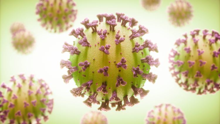 Das mutierte Virus ist vermutlich wesentlich ansteckender als die bisher in Deutschland grassierenden Varianten.