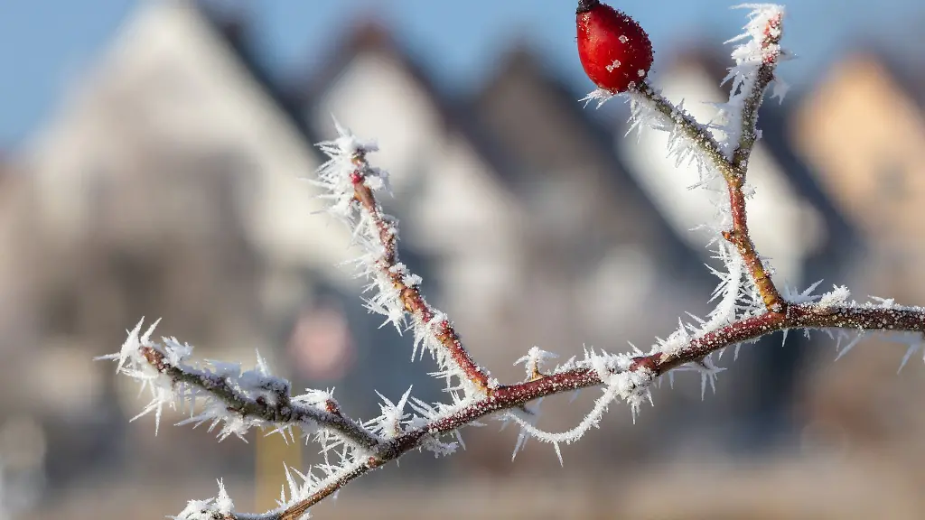 Die-Naechste-werden-noch-kalt-doch-dann-kommen-tagsueber-Temperaturen-ueber-Null