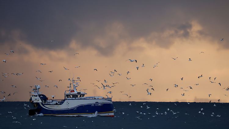 Die Fischerei war eines der schwierigsten Themen bei den Post-Brexit-Verhandlungen.