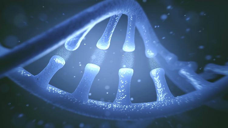 Das menschliche Erbgut ist in Form eines Doppelstrangs DNA gespeichert. Die RNA von Sars-CoV-2 besteht nur aus einem Strang - und weist noch weitere Unterschiede auf.