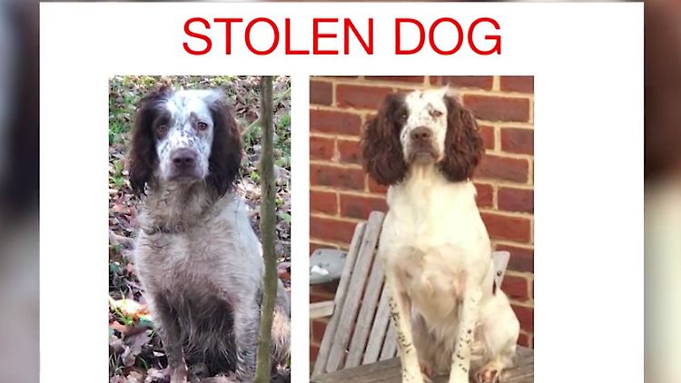 Bildschirmfoto 2020-12-31 um 14.09.42.png