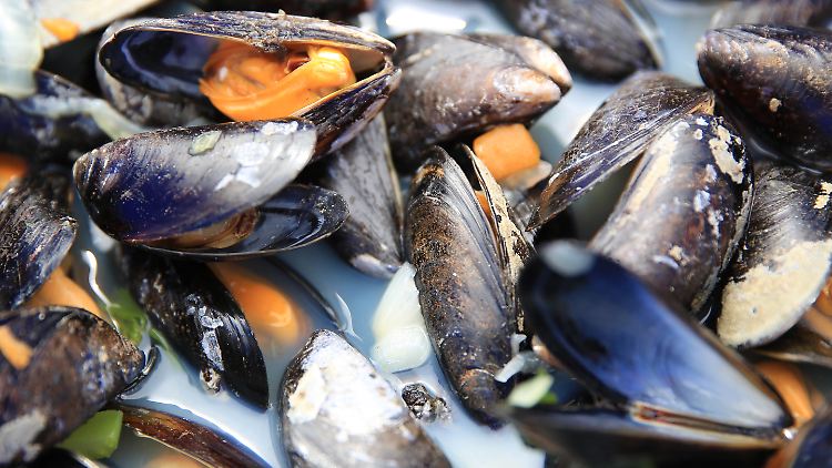 Frisch zubereitete Miesmuscheln: Im Moment könne man noch nicht sagen, ob der Verzehr von belasteten Muscheln gesundheitsschädlich ist, sagen die Forscher.
