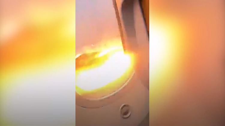 Triebwerk Flugzeug Vogelschlag.JPG